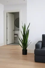 Umjetna sanseverija 115 cm