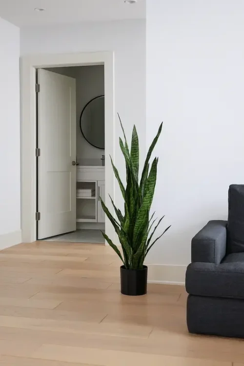 Umjetna sanseverija 115 cm