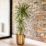 Ukrasna tegla Malik zlatna boja 31 x 31