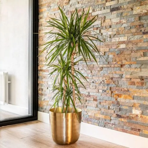 Ukrasna tegla Malik zlatna boja 31 x 31