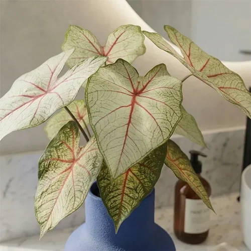 Umjetna Kalateja 40 cm