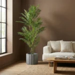 Umjetna palma Areka 180 cm