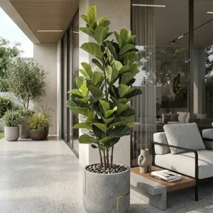 Umjetna smokva Lyrata 150 cm UV