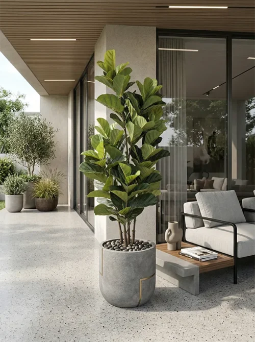 Umjetna smokva Lyrata 150 cm UV