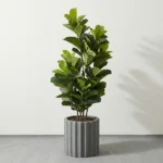 Umjetna smokva Lyrata 150 cm UV