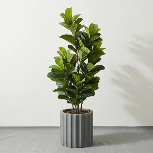 Umjetna smokva Lyrata 150 cm UV