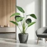 Umjetna Strelicija 120 cm Umjetna Strelicija 120 cm