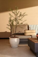 Umjetna maslina 140 cm UV