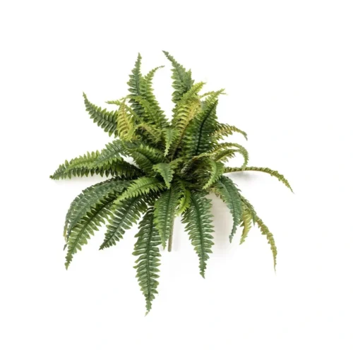 Umjetni paprat Barcelona 50 cm