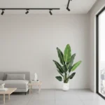 Umjetna strelicija 150 cm Kimberley