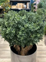 umjetni buxus 90 šimšir bux