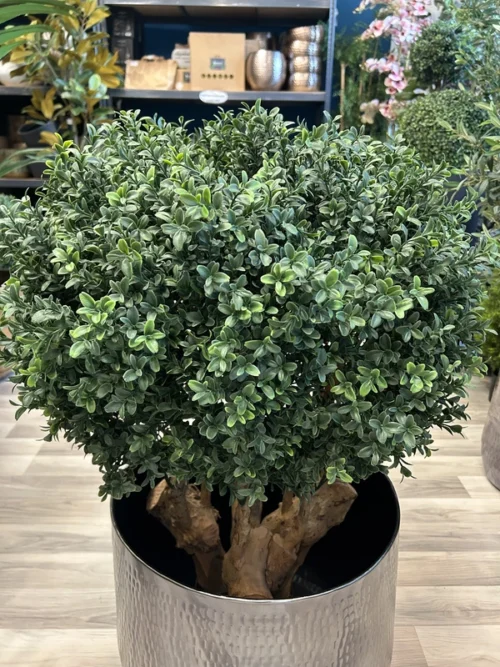 umjetni buxus 90 šimšir bux