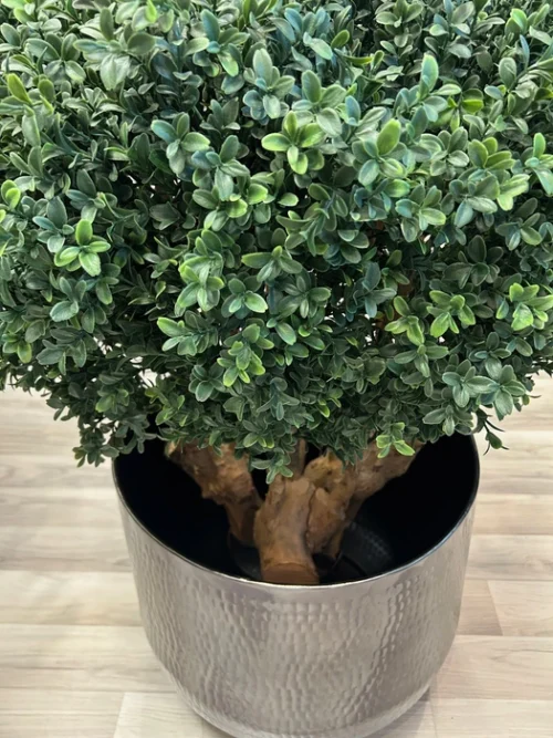 umjetni buxus 90 šimšir bux