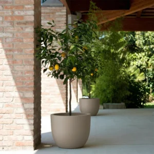 Ukrasna tegla Aria 54 cm Sandy boje