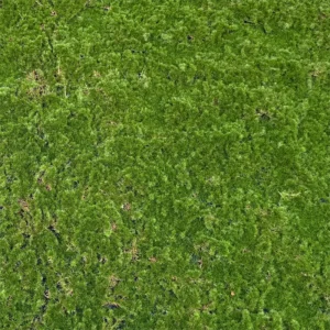 Ploča od umjetne mahovine 100 x 100 cm