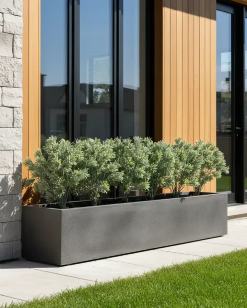 Timijan-grm-33-cm-UV