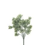 Timijan 33cm s UV zaštitom