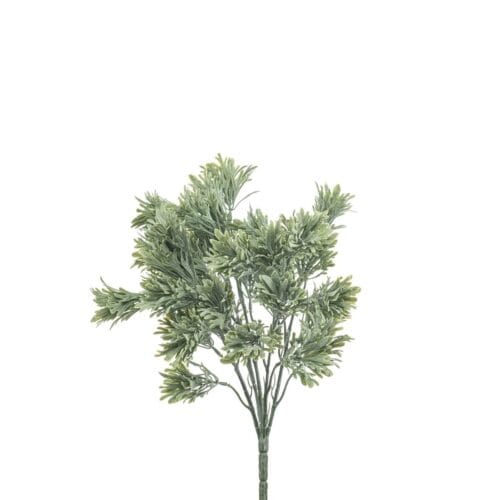 Timijan 33cm s UV zaštitom