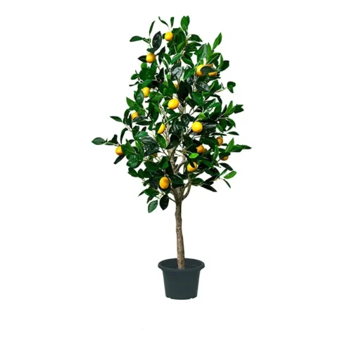 Umjetni-limun-bonsai-150