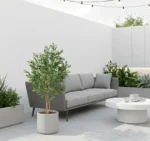 Umjetna maslina 150 cm UV