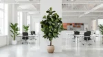 Umjetni Ficus Lyrata 180 cm Home