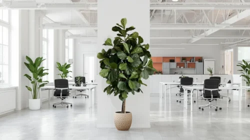 Umjetni Ficus Lyrata 180 cm Home