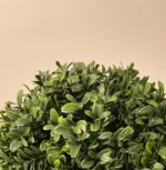 Umjetni šimšir 33 cm UV (buxus)