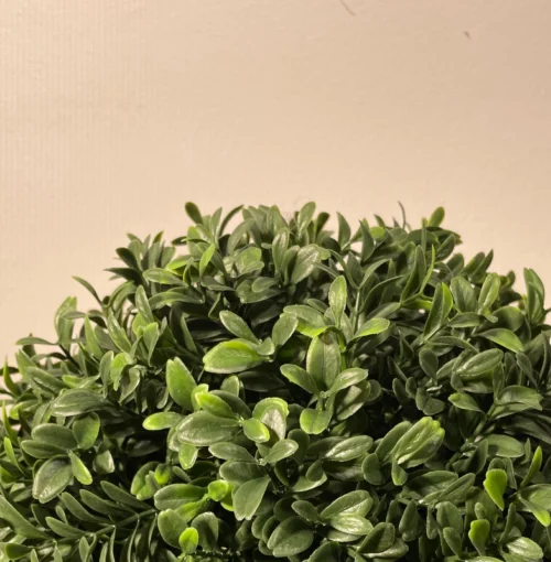 Umjetni šimšir 33 cm UV (buxus)