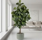 Umjetni Ficus Lyrata 180 cm Home