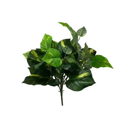 Philodendron grm 46 cm UV