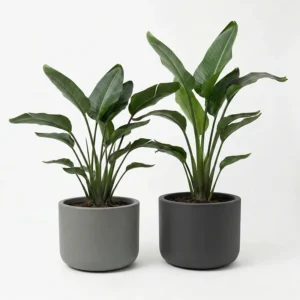 Tegla za cvijeće Pulse 50