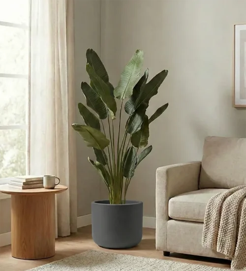 ukrasna tegla za cvijeće Pulse 50