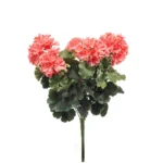 Umjetna geranija (pelargonija) UV Peach 41 cm Umjetna geranija (pelargonija) UV Peach 41 cm