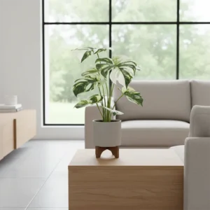 Grm monstere 40cm u tegli