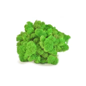 Stabilizirana mahovina light green 1 kg