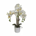 Umjetna orhideja bijela 52 cm Eterna Umjetna orhideja bijela 52 cm Eterna