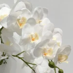 Umjetna orhideja bijela 80 cm Lia