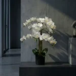Umjetna orhideja bijela 80 cm Lia by Bonsai Dekor(1)