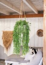 Umjetna puzavica Bambus 80 UV by Bonsai