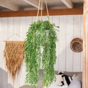 Umjetna puzavica Bambus 80 UV by Bonsai