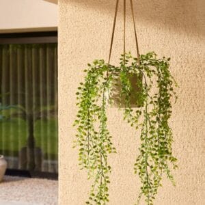 Umjetna puzavica Pumila 80 UV