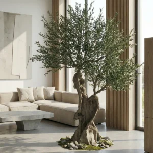 Umjetna maslina Royale 300 cm