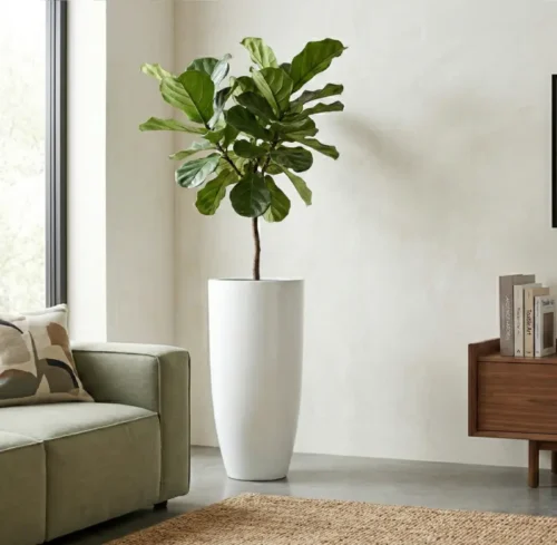 Ukrasna tegla za cvijeće Pure Royal 80×40 cm