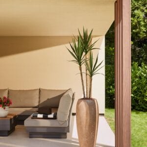 Umjetna juka palma 150cm UV