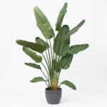 Umjetna strelicija Pure 180 cm
