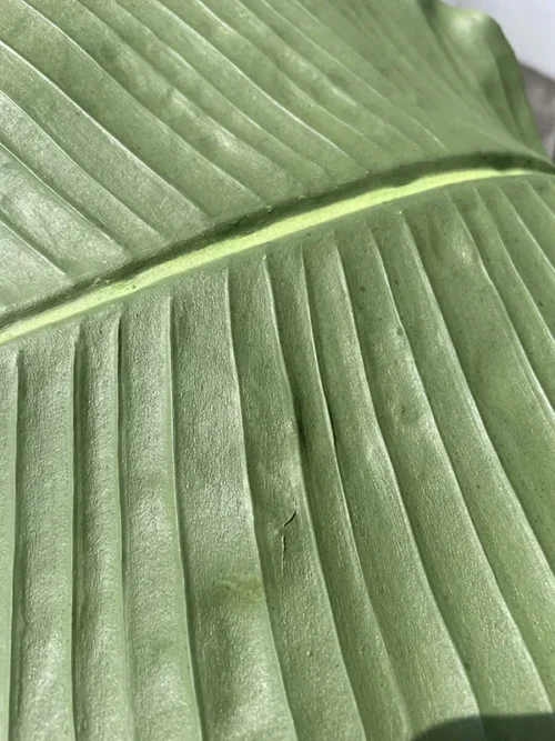 Umjetna strelicija Pure 180 cm