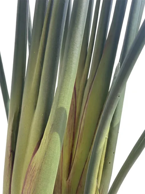 Umjetna strelicija Pure 180 cm