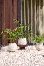 vanjske umjetne palme Umjetna palma Chamaedorea 90cm UV