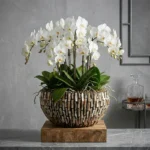 Vaza za cvijeće Aurelia 45 × 22 cm Dark Pearl