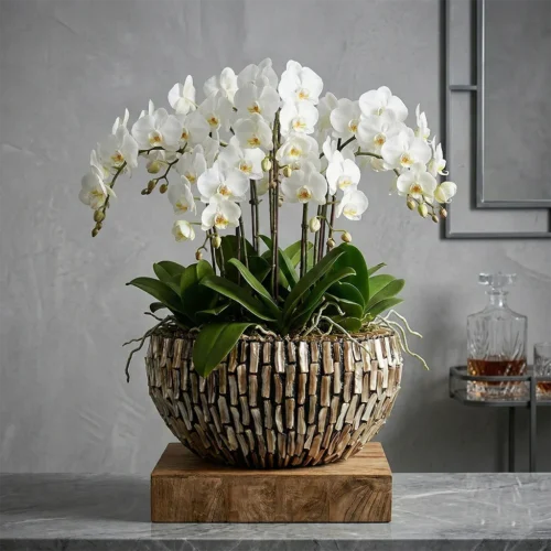 Vaza za cvijeće Aurelia 45 × 22 cm Dark Pearl